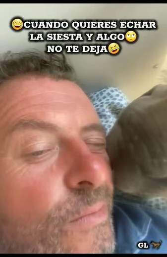 🤣🤣déjame dormir la siesta! #humor #risas #memes #reelsfypシfb | Gifs e imagenes para compartir en tu muro, Gif Lovers.