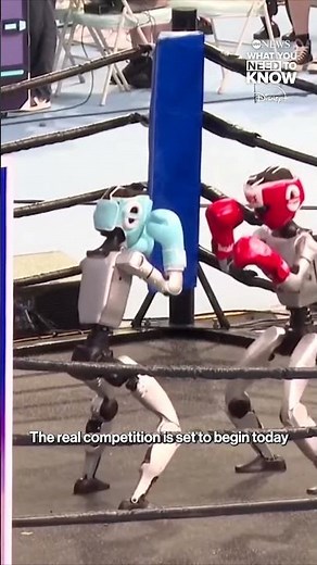 Robots compete in the the first-ever World Humanoid Robot Games in Beijing