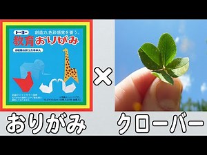 【折り紙】四つ葉のクローバーの1枚での簡単な作り方 立体的な折り方 子供でも作れる【おりがみ】