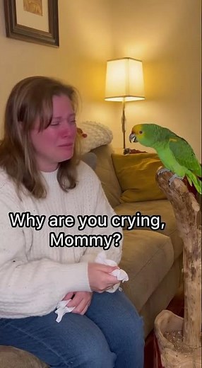 Parrot's Brutal Honesty Makes His Crying Owner Sob Even Harder!