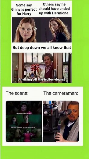 Harry Should've Ended Up With...The Trolley Lady 💀#shorts #harrypottermemes #funny #behindthescenes
