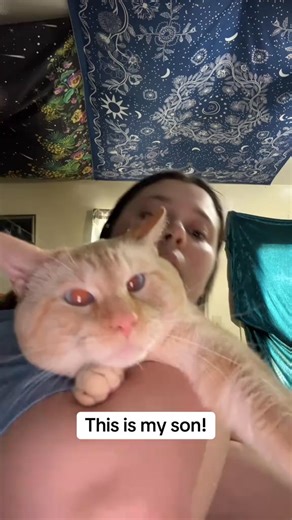 112K views · 10K reactions | He's so sweet Imao. Show Casper some love plz #fyp #viral #cat #catsoftiktok #catslovers #casper | Brian Anthony | Facebook