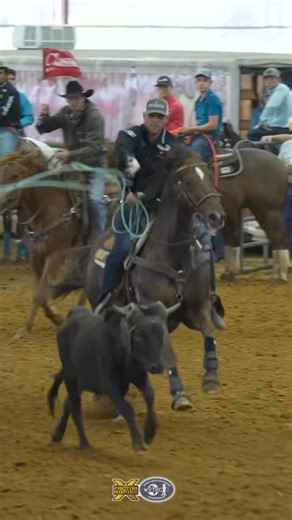 Congratulations to CSI Elite Athlete, Clay Smith, for taking the win of the WYTRC X Factor Roping Open Champions today with a total of 34.86 of 5 for $7,200 a man! 📸: @xfactorroping @claysmith2x #csichamp #csipads #csisaddlepads #saddlepads #handmade #USA #horse #westerntack #tack #rodeo #cowboy #openroping #worldchampion #header | CSI Saddlepads