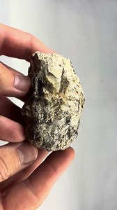 نيزك أوبرايت Aubrite meteoritee (NWA 14582) | Frank Wolf