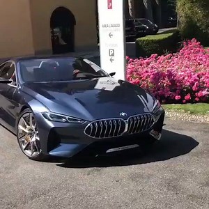 BMW 8 Series | BMW M POWER