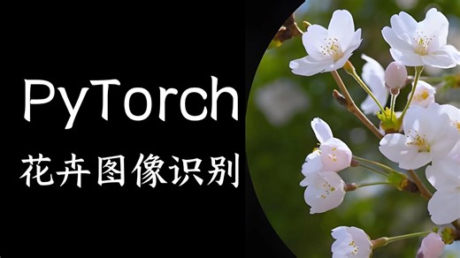 深度学习入门项目！基于PyTorch实现CNN花卉图像分类，原理精讲 完整代码实战！