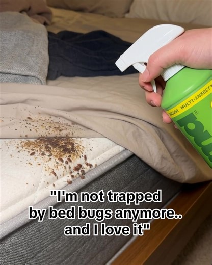 ⭐⭐⭐⭐⭐ “This is an amazing product! It does everything it says it will...kill bugs instantly! I have been able to get my bed bug problem under control, where everything else I have tried just did not work. After spending upwards of $4K, I am very pleased with BugMD!” – Sheri C. Thousands of Americans rely on BugMD’s breakthrough Essential Pest Control concentrate to kill bedbugs in a household approved and effective way. ✅ Unique formula using potent, plant-powered formula ✅ Kills by contact, wor