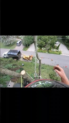 Arborist spurs pants & knows kung fu?#work #arborist #funny #fun #gopro #fyp #explore #tree #enjoy