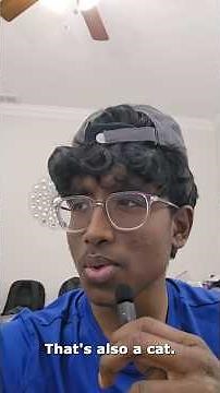 Why Your Machine Learning Model Is Terrible #ai #coding #datascience #machinelearning #deeplearning