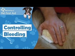 Controlling Bleeding