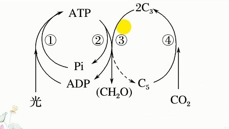 id_XNDUxNjAyNTUxMg==.html