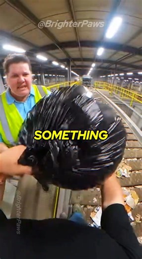 My boss was SO mad 🤬 but I had to STOP the factory line #animalrescue #kitten #humanity