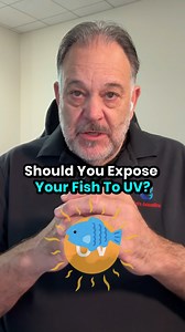 4.3K views · 43 reactions | Should You Expose Your Fish To UV? Is UV...