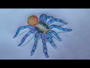 How to draw blue tarantulas