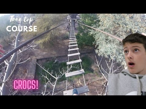 I survived a tree top obstacle course!