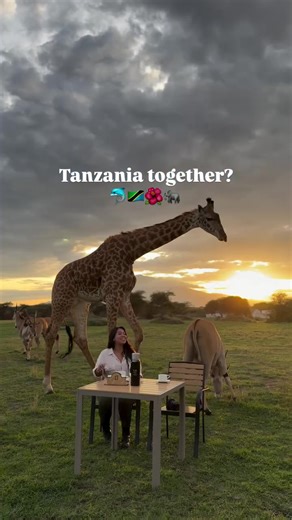 Unforgettable Tanzania Safari and Zanzibar Beach Adventure