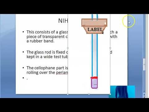 Parasitology 205 a NIH Swab Collect specimen stool National Institute of Health USA