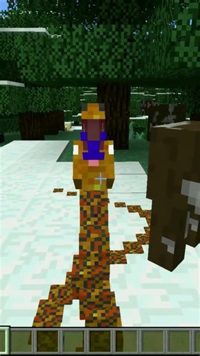 Questa Mod è ASSOLUTAMENTE Da SCARICARE!