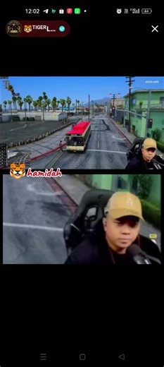 Tiger Labu Merchandise and Live Show Insights