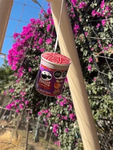 La técnica Mexa para ganar Pringles®