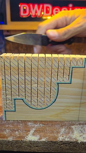 54K views · 2.1K reactions | Discovering the captivating world of...