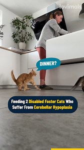 She was so patient with them 🥹 | Lovimals