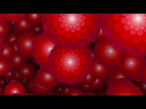 Red Flowers Background Video