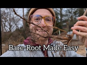 How to Plant Bare-Root Trees