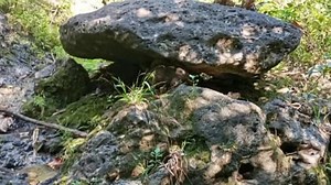 Treasure hunting found abstract turtle spot indication markings #jmdcompass #everyoneシ゚ #fbreels #trendingreels #explorepage #treasurehunt #reels #virals | JMD Compass