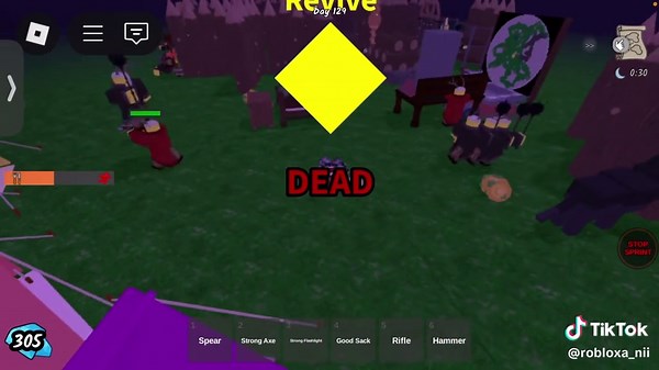 Robloxa_na_Stefi_i_Krisii (@robloxa_nii)’s videos with original sound - ️