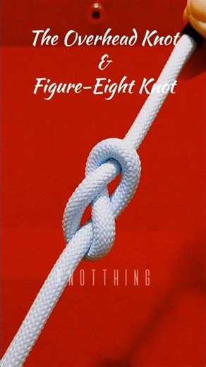 Rope Knot No. 16 | The Overhead And Figure-Eight Knot #ropeknot #knottutorial #knotart #paracord