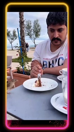 Insaniyat De Ta Waye: A Fun Discussion