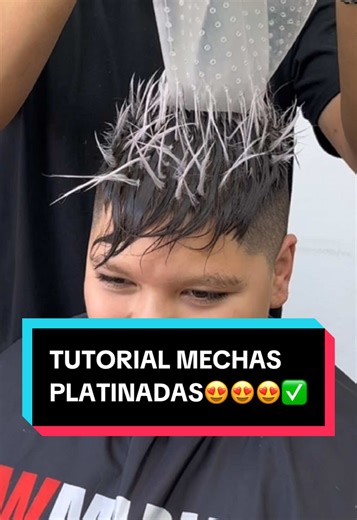 mechas platinadas tutorial😍✅