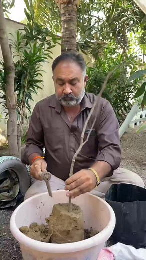 18K views · 358 reactions | Planting #rareplant #plants #plantings #farm #farmer #farming #work #oxygen | BL Vadi Vlog | Facebook