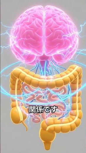 【医師解説】過敏性腸症候群(IBS)の全て｜原因・タイプ別症状・検査(ローマⅣ)・FODMAP・治し方まで