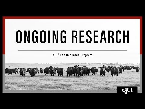 Ongoing Research | AGI-Led Research Projects