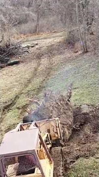 Pushing a big stump with the Case 855D loader. #construction #equipment #dozer