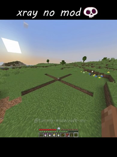 Minecraft X-ray without mods tutorial
