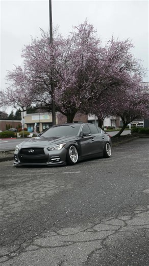 Understanding Static Camber in Vehicles