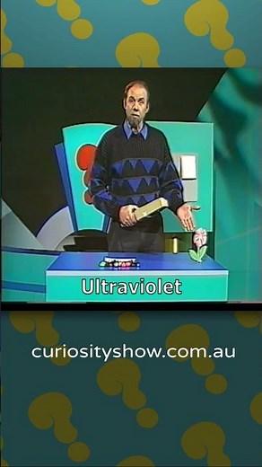 Ultraviolet and insect vision