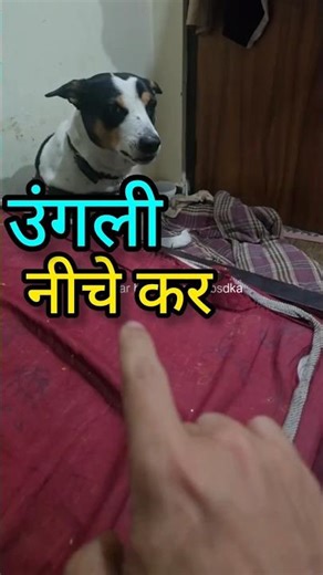 #aa23 Funny Dogesh bhai 😂