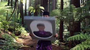 See more of the country with over 400 flights a day across 21 New Zealand destinations | Air New Zealand