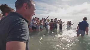 4.4K views · 21 reactions | Roger Cook on Reels | Facebook