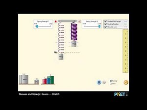 Masses and Springs: Basics - Stretch