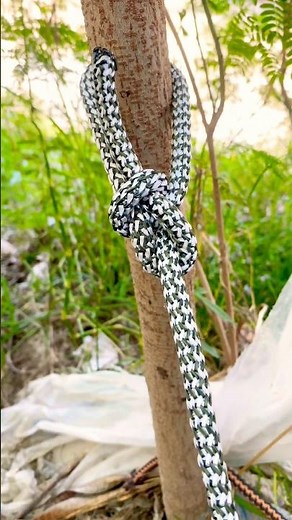 The Best Way To Tie The Bowline Knot !🪢#knot #gtknot #diyrope #rope #shorts