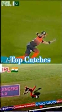 PSL 🆚 IPL 🔝 Best catches #cricket #cricketshorts #cricketlover