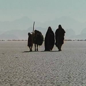 160K views · 4.9K reactions | Matthew 2:13-15 THE FLIGHT INTO EGYPT...