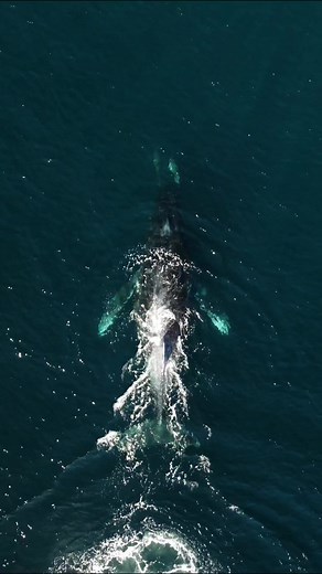 16K views · 1.8K reactions | The crucifix position  The water is...