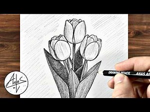 How To Draw Tulips Flowers | Sketch Tutorial