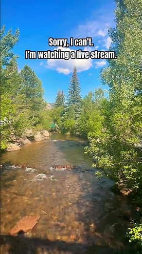 Watching a live stream in Estes Park, Colorado ☀️